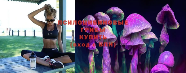 Альфа ПВП Алексин
