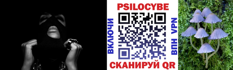 где можно купить   Ейск  Галлюциногенные грибы мухоморы 